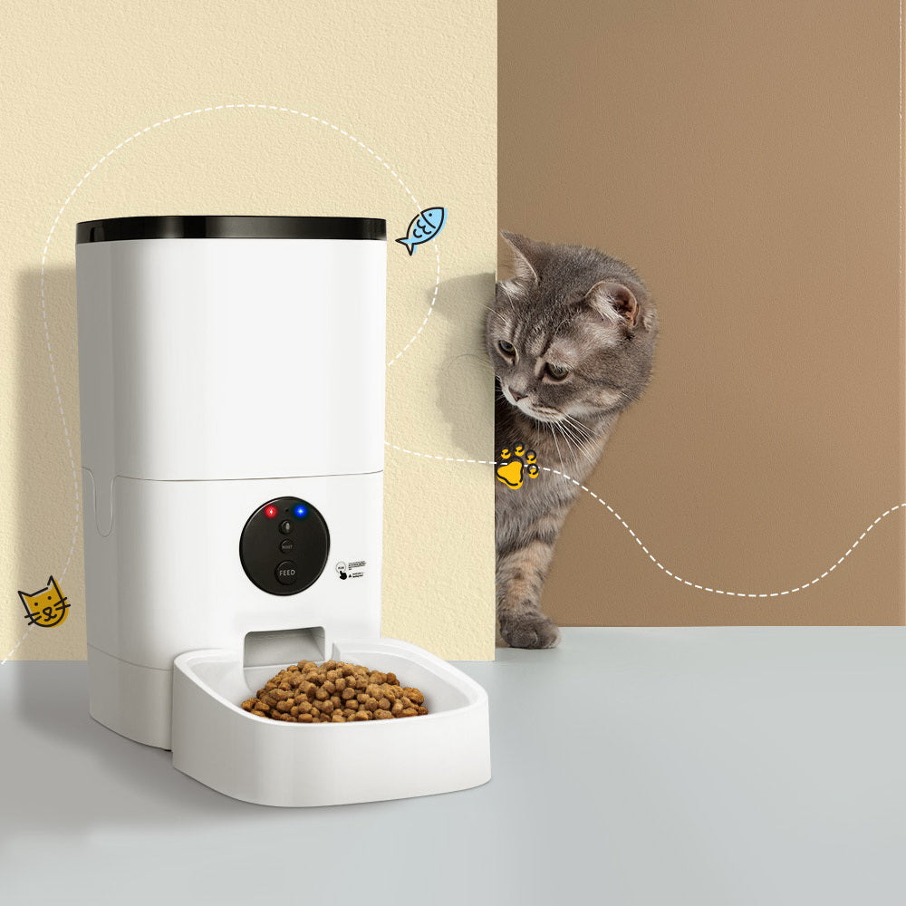 A little grey and white Tabby kitten looking around a corner inquisitively at a white remote electric automatic pet feeder. 