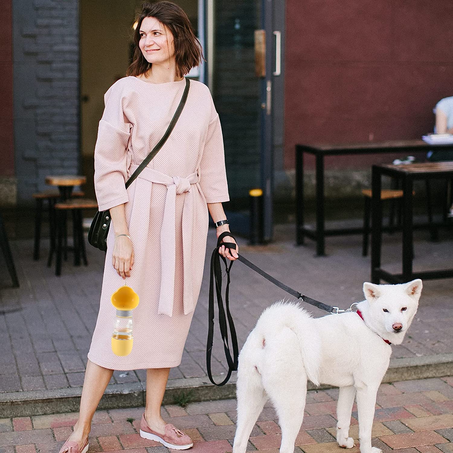 Nice Lady outside a cafe with a white Hokkadio dog on a lesh holding a portable pet water bottle with built in  bowl